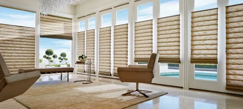 Window Tinting and Blinds